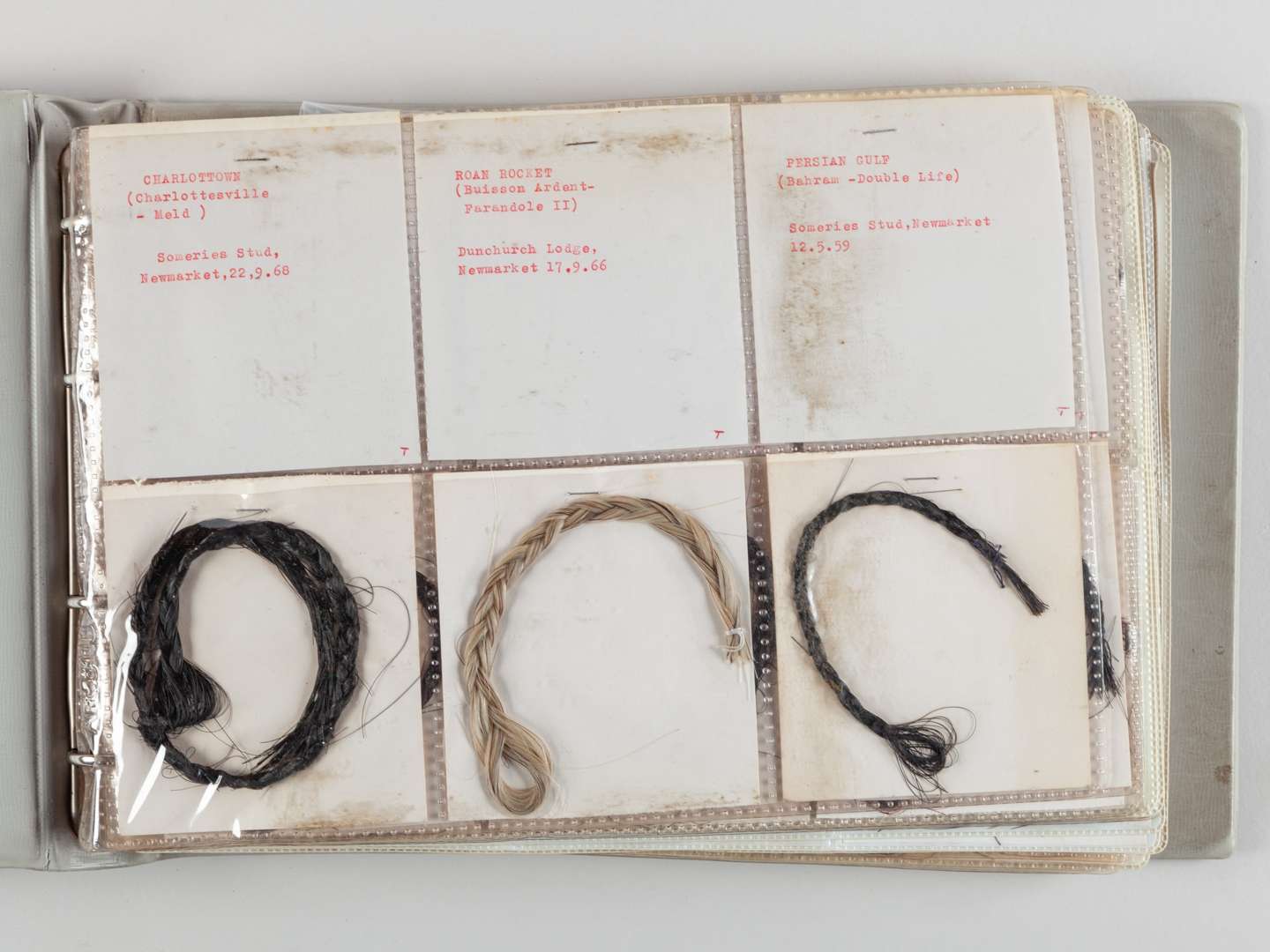 The Ray Goddard Collection of Hair Trophies of Champion Racehorses. - Image 5 of 28
