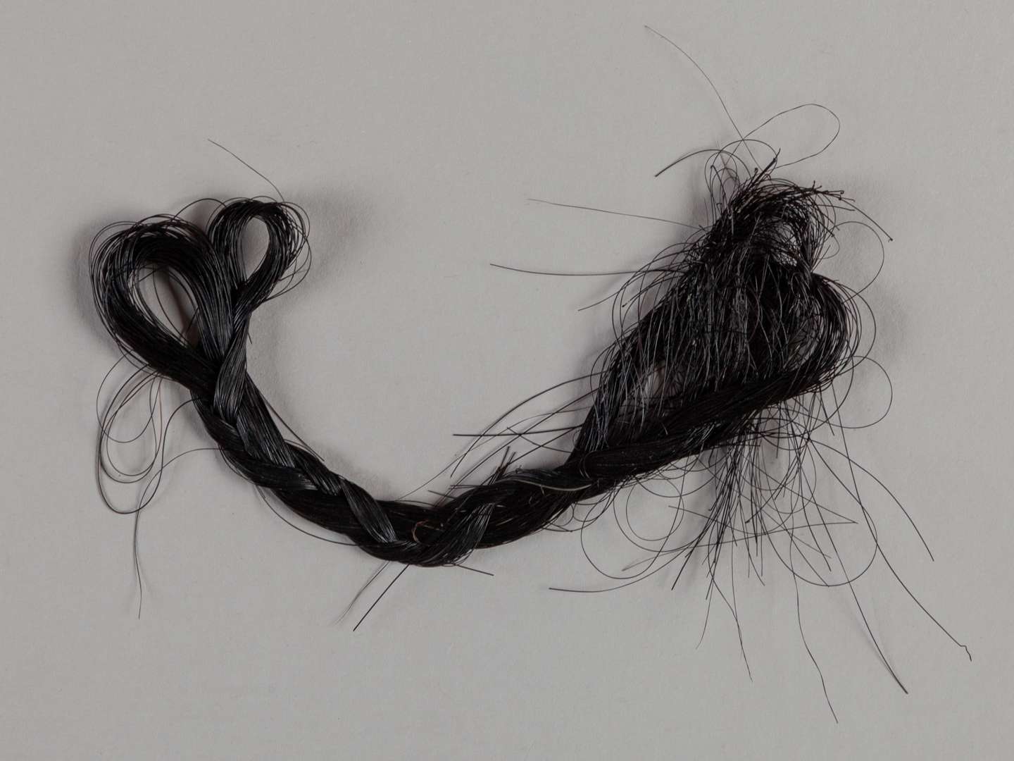 A plaited lock of hair from the racehorse and broodmare Rose Bowl.