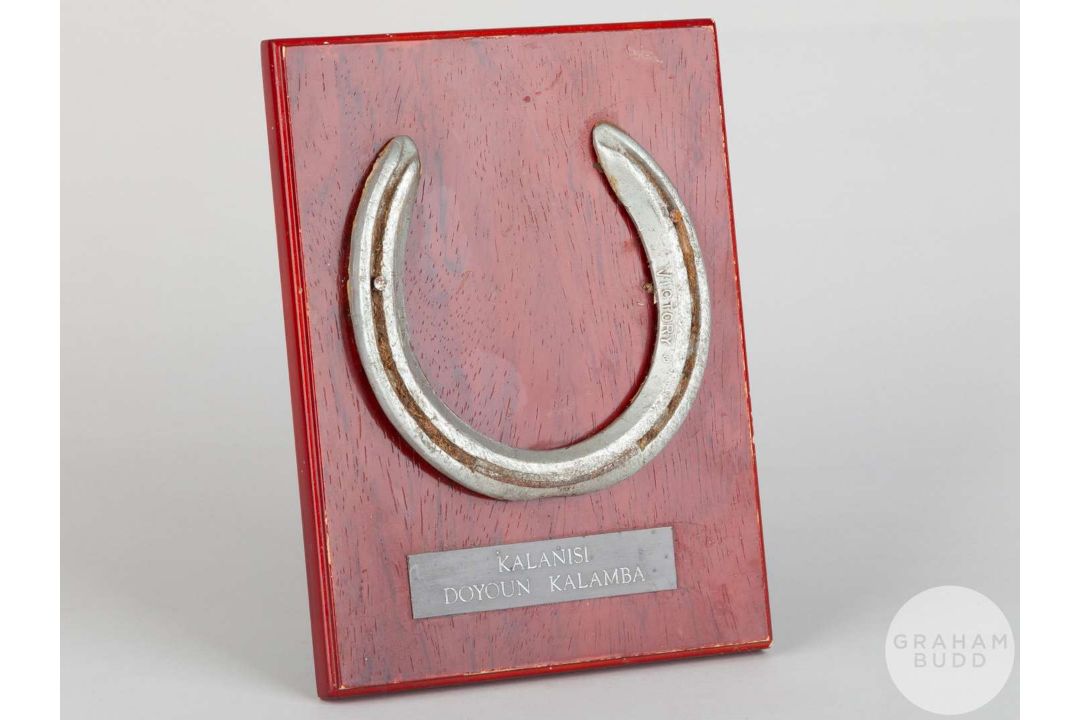 Shoe worn by the racehorse Kalanisi.