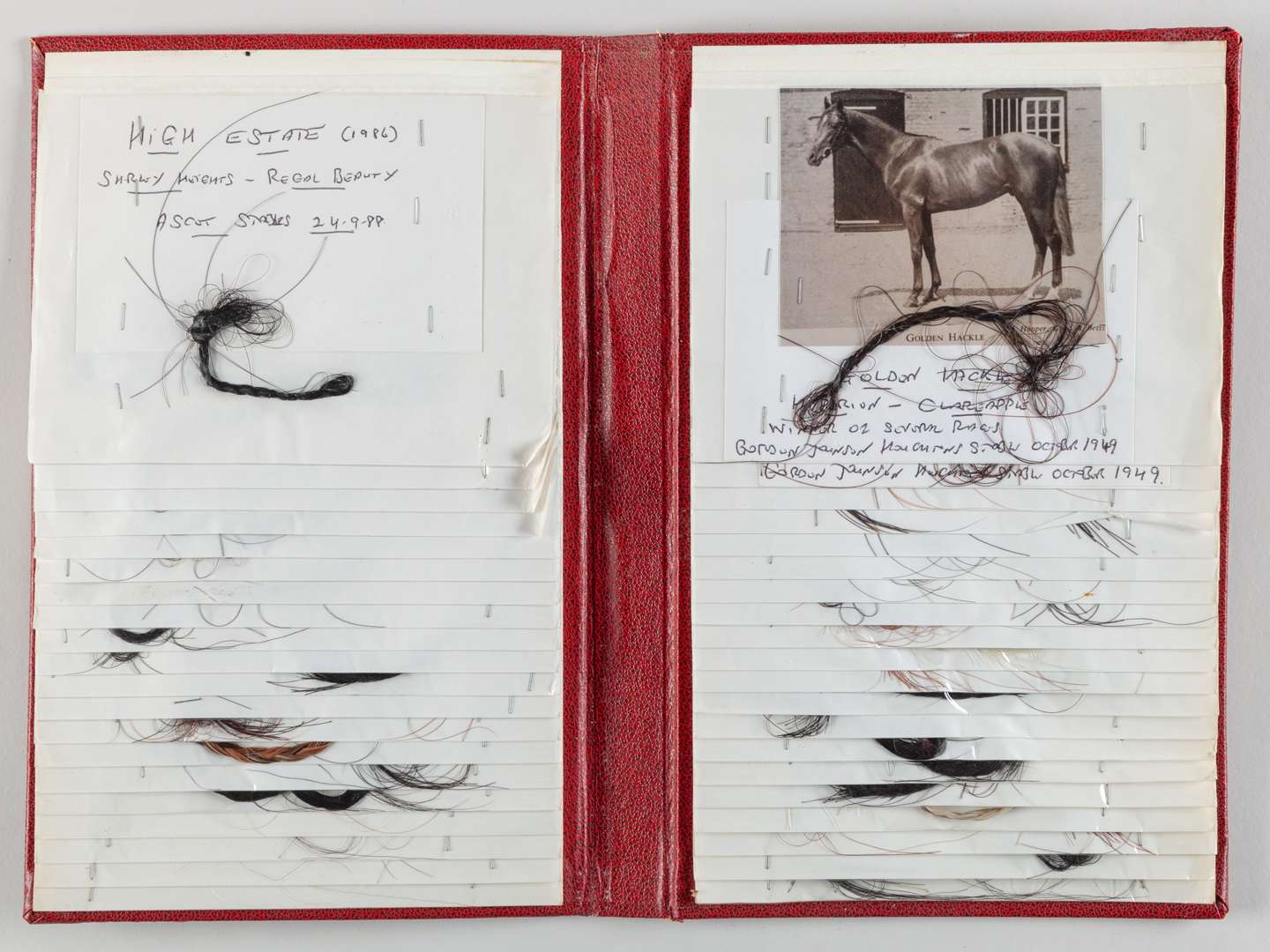The Ray Goddard Collection of Hair Trophies of Champion Racehorses. - Image 4 of 28