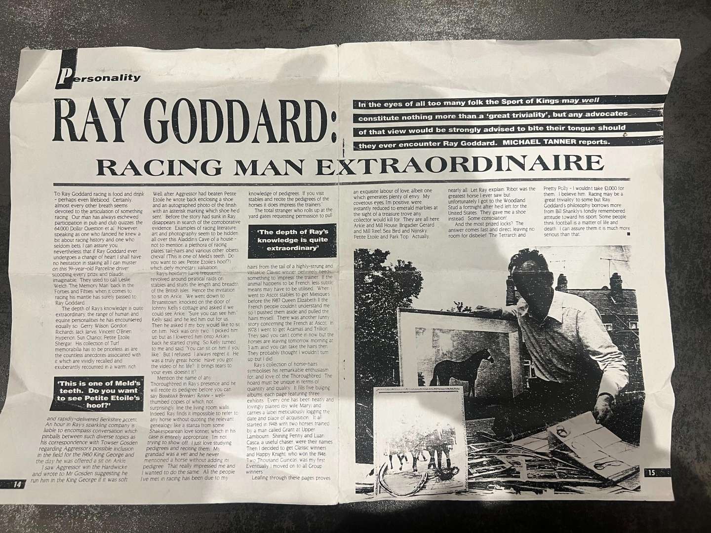 The Ray Goddard Collection of Hair Trophies of Champion Racehorses. - Image 28 of 28