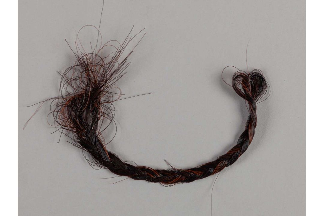A plaited lock of hair from the racehorse and broodmare Oh So Sharp. - Image 1 of 2