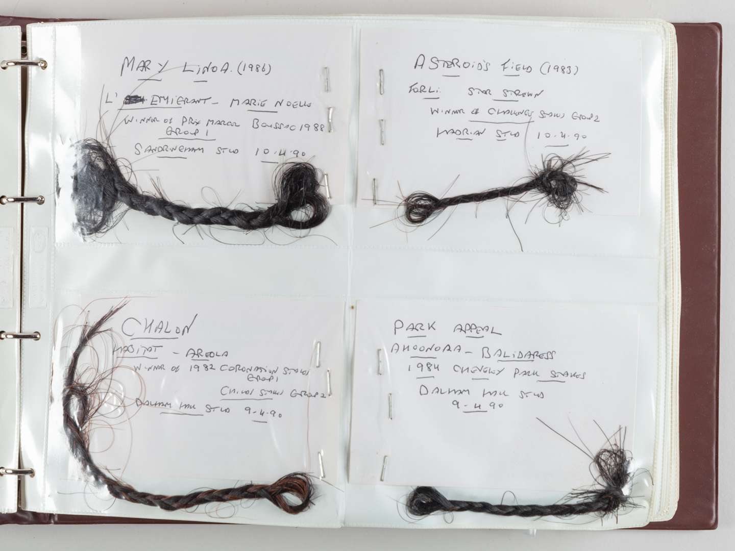 The Ray Goddard Collection of Hair Trophies of Champion Racehorses. - Image 2 of 28