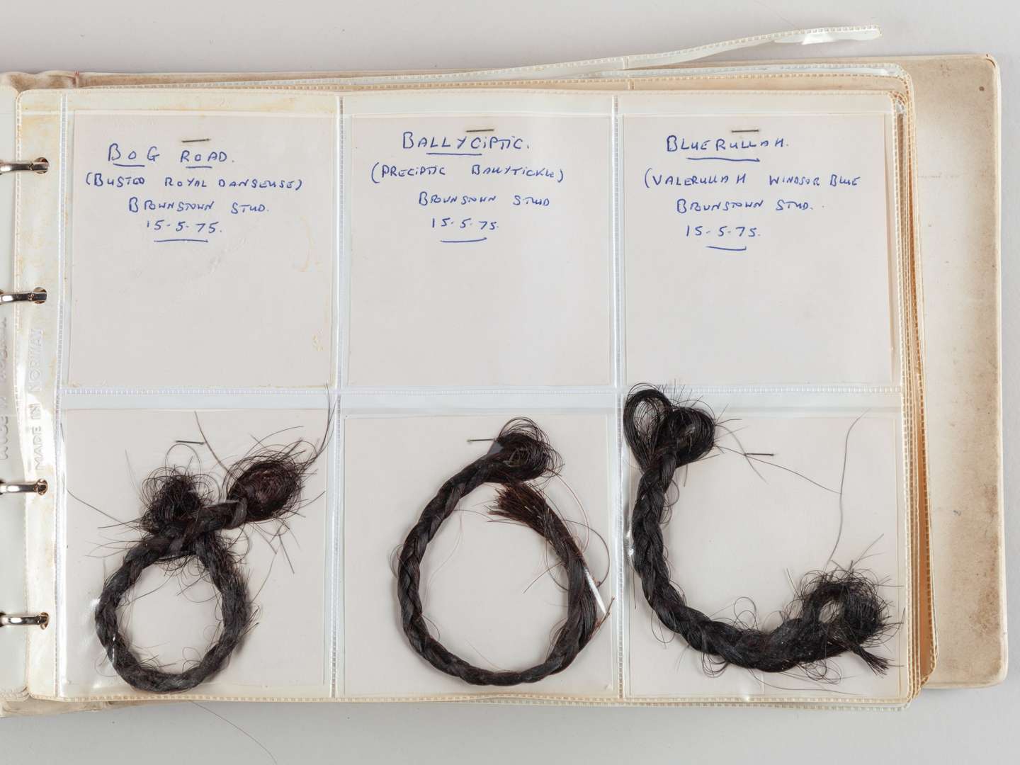 The Ray Goddard Collection of Hair Trophies of Champion Racehorses. - Image 6 of 28