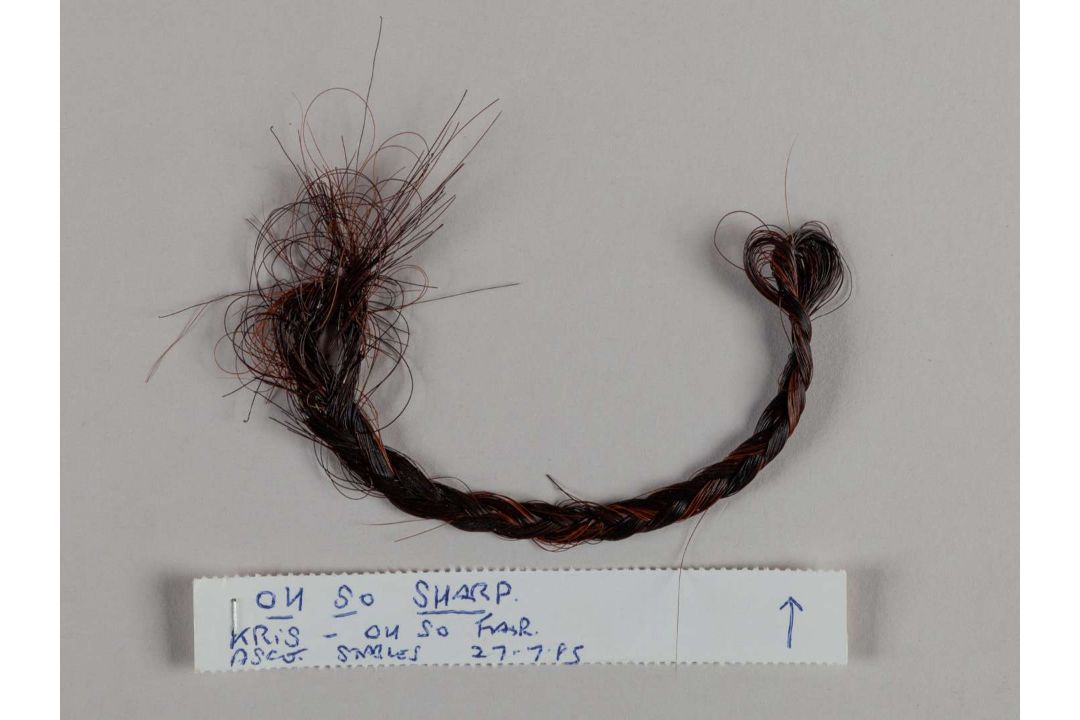 A plaited lock of hair from the racehorse and broodmare Oh So Sharp. - Image 2 of 2