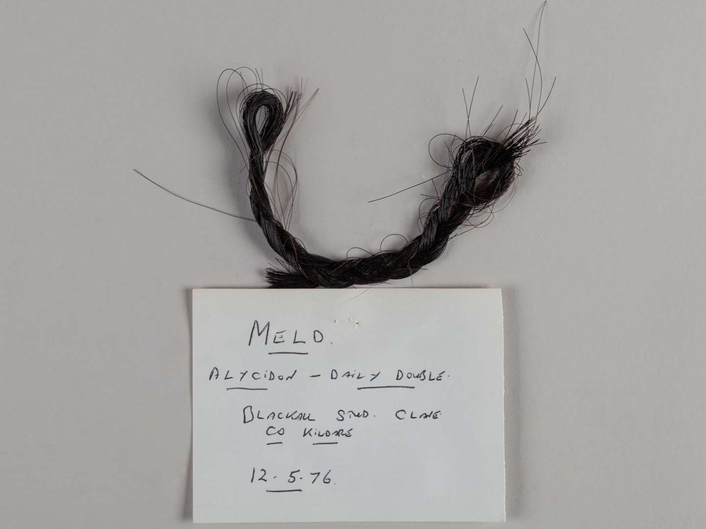 A plaited lock of hair from the racehorse and broodmare Meld. - Image 2 of 2
