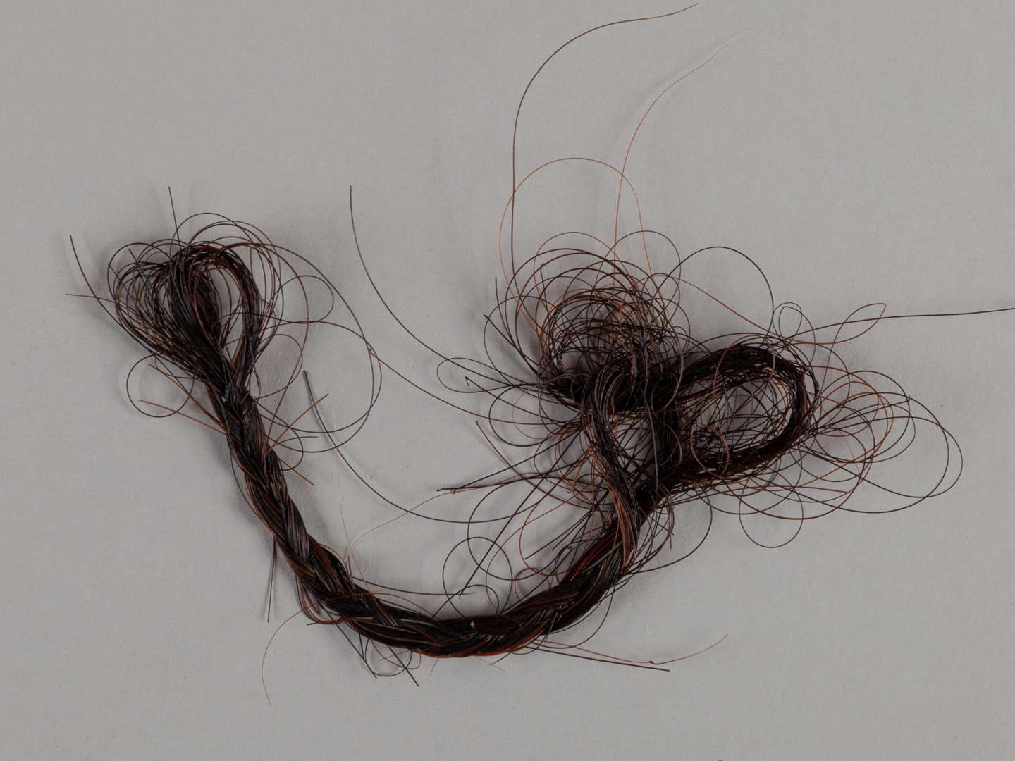 A plaited lock of hair from the racehorse and stallion Hello Gorgeous.