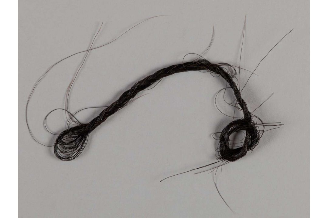 A plaited lock of hair from the racehorse and broodmare Park Top. - Image 1 of 2