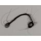A plaited lock of hair from the racehorse and broodmare Park Top. - Image 1 of 2