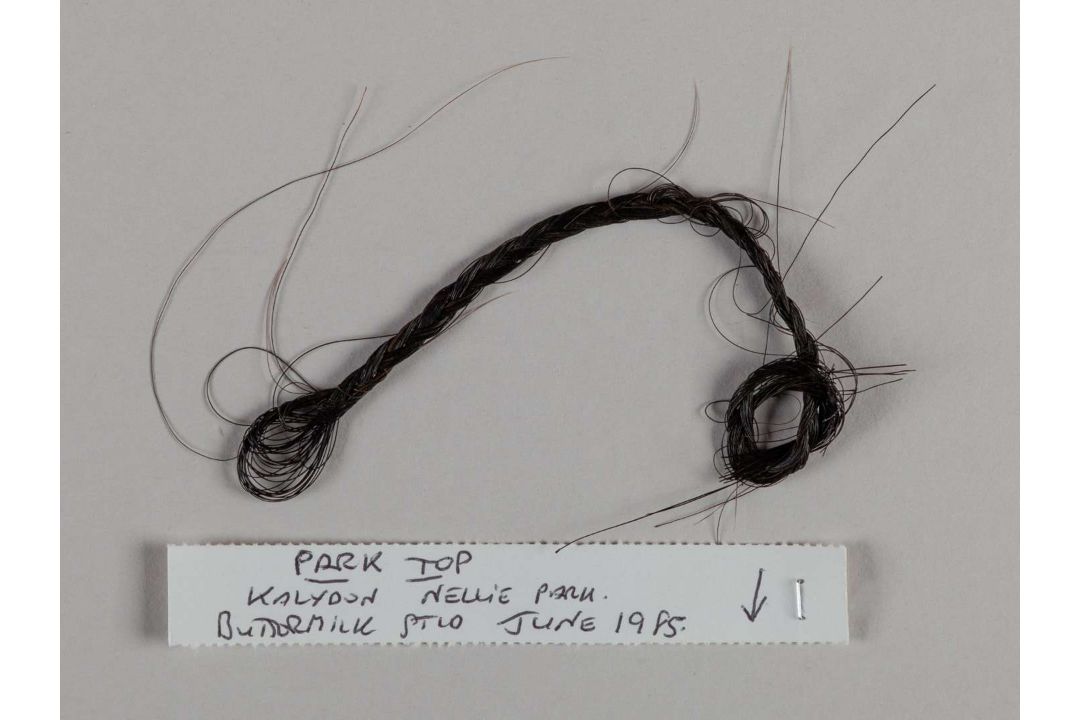 A plaited lock of hair from the racehorse and broodmare Park Top. - Image 2 of 2