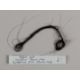 A plaited lock of hair from the racehorse and broodmare Park Top. - Image 2 of 2