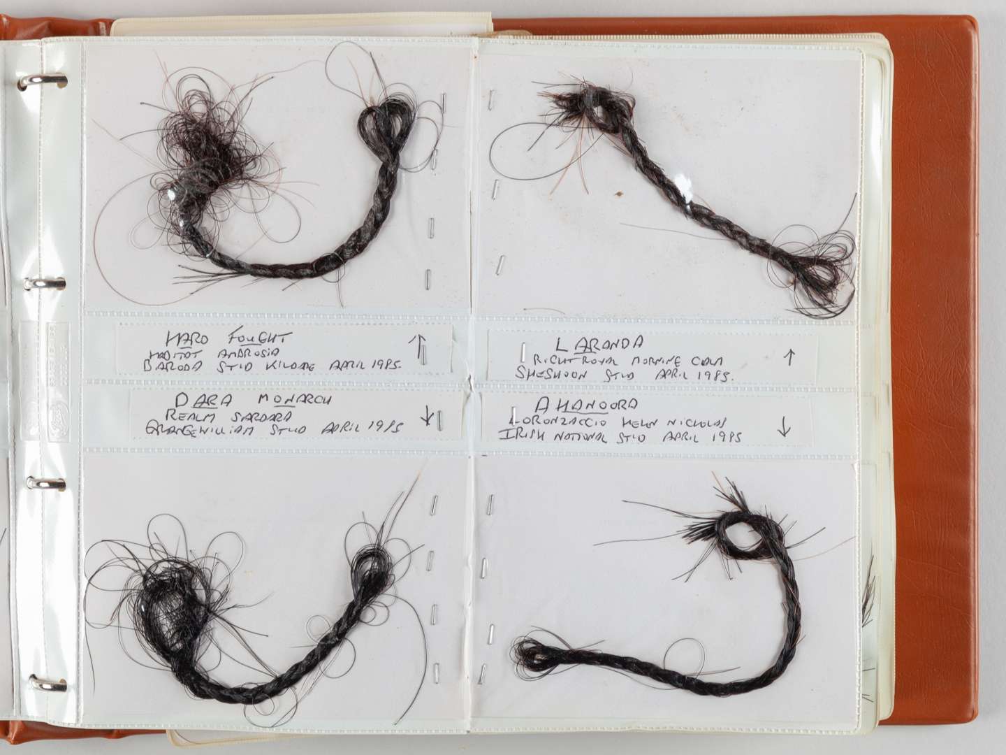 The Ray Goddard Collection of Hair Trophies of Champion Racehorses. - Image 7 of 28