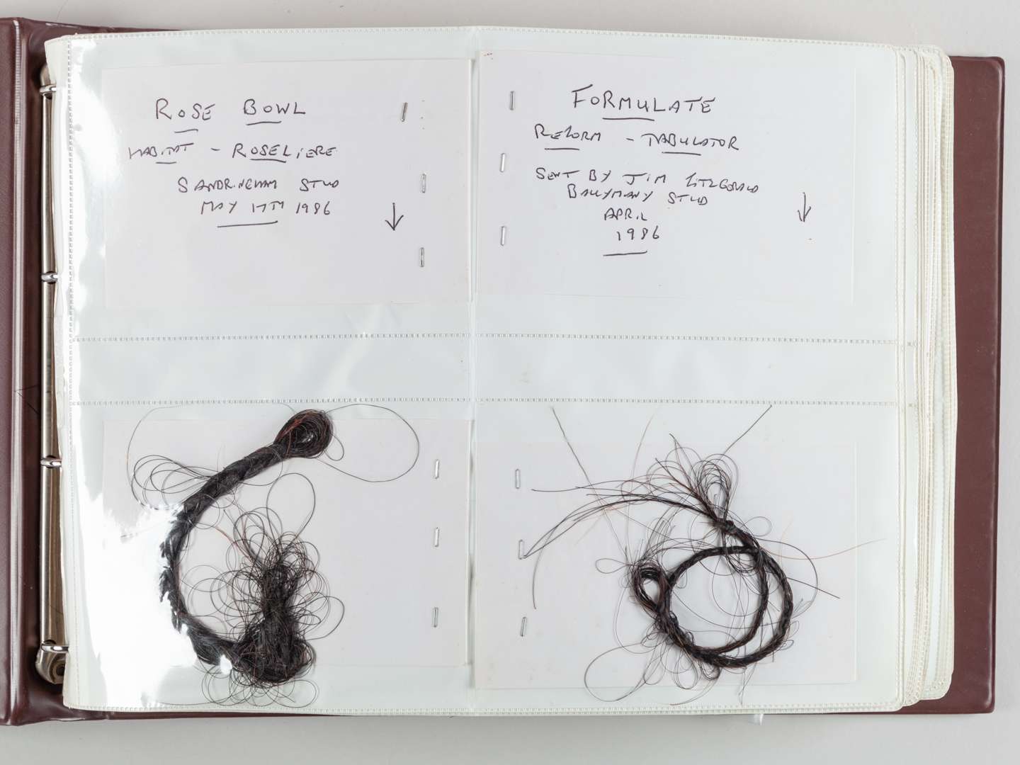 The Ray Goddard Collection of Hair Trophies of Champion Racehorses. - Image 3 of 28