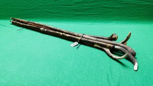 A GROUP OF FIVE VARIOUS WALKING AND SHOOTING STICKS INCLUDING HORN HANDLED CARVED, ETC.