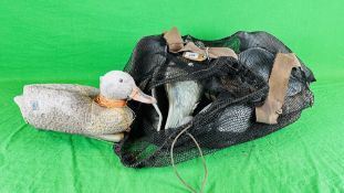 A COLLECTION OF PIGEON DECOYS