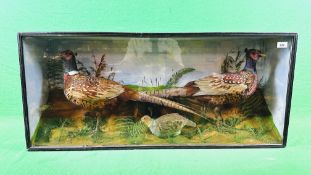 TAXIDERMY: A CASED VICTORIAN STUDY DEPICTING TWO PHEASANTS AND A PARTRIDGE IN A NATURALISTIC