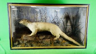 TAXIDERMY: A CASED VICTORIAN STUDY OF AN OTTER IN A NATURALISTIC SETTING,