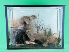 TAXIDERMY: A CASED VICTORIAN STUDY DEPICTING A PAIR OF OTTER CUBS IN A NATURALISTIC SETTING,