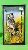 TAXIDERMY: A CASED STUDY OF A MOUNTED WHITE FACED SCOPS OWL IN A NATURALISTIC SETTING, W 25.