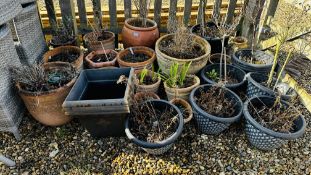 A LARGE GROUP OF ASSORTED TERRACOTTA AND PLASTIC GARDEN PLANTERS (30).