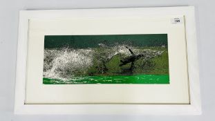 MODERN DESIGNER FRAMED DIGITALLY ENHANCED PRINT OF A SURFING PENGUIN BY TRACY MYERS. 35CM X 59.