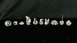 A COLLECTION OF 8 SWAROVSKI CRYSTAL MINIATURES TO INCLUDE TORTOISE, SWAN, DOVE, SQUIRREL, DUCK,