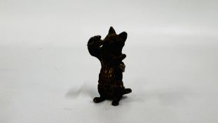 A VINTAGE MINIATURE COLD PAINTED BRONZE STUDY OF A CAT AND SYMBOLS H 4.5CM.