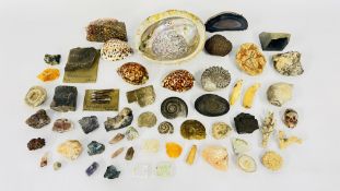 A TIN OF ASSORTED SHELLS, FOSSILS, CRYSTAL AND AGATE SPECIMENS, INCLUDING RAW AMBER ETC.