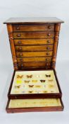 AN ANTIQUE MAHOGANY 8 DRAWER COLLECTORS CHEST CONTAINING VARIOUS BRITISH BUTTERFLY AND MOTH
