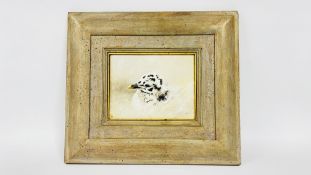 A FRAMED OIL ON BOARD DEPICTING A HERRING GULL CHICK MONOGRAMMED C.H. W 43 X H 38CM.