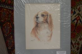 A group of six unframed prints depicting various terriers.