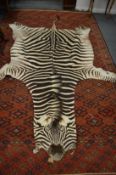 A zebra skin rug.