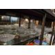 A good collection of cut glassware to include ice plates, dishes, decanters etc. - Image 2 of 4