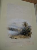 DILLON (F.) Sketches in the Island of MADEIRA, large folio, col. plates, 1986 FACSIMILE EDN.