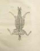 GIBSON (W.) New Treatise of Diseases of HORSES, 4to, 31 of 32 plates (lacks frontis), old calf (