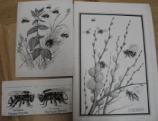 NEAVE PARKER, artist & illustrator: coll'n of 10 b/w. scraperboard illustrations for 