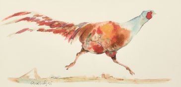 Claire Norrington (b. 1969), a running pheasant, watercolour, signed Claire Shirley, 7