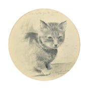 An Early 20th Century charcoal study of cat, 13