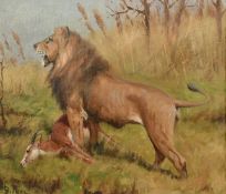 George Paice (1854-1925), a standing lion with its kill, oil on canvas, signed, 12