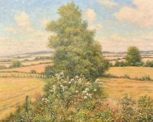 Mervyn Goode (20/21st Century), 'Poppies and Thistledown on the Downs', oil on canvas, signed, 24