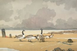 Bryan Conway (20th Century), 'Canada Geese, Anglesey', watercolour, signed, 14