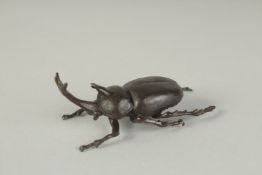 A JAPANESE BRONZE OKIMONO OF A BEETLE, 6cm long.