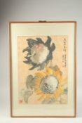 A LARGE CHINESE FLORAL PAINTING, inscribed and with two red seal marks, framed and glazed, image