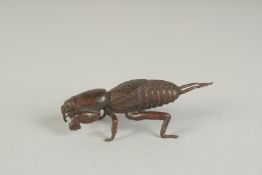 A JAPANESE BRONZE OKIMONO OF A MOLE CRICKET, 6.5cm long.