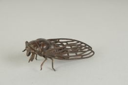 A JAPANESE BRONZE OKIMONO OF A CICADA, 6cm long.