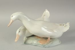 A COPENHAGEN PORCELAIN GROUP OF TWO DUCKS No. 412, 12ins high.