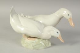 A COPENHAGEN PORCELAIN GROUP OF TWO DUCKS No. 412, 12ins long.