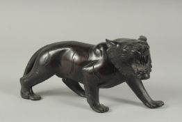 A BRONZE TIGER. 9.5ins long.