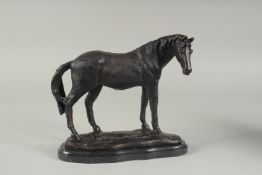 A BRONZE STANDING HORSE on a marble base. 9ins high.