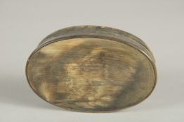 A COW HORN OVAL SNUFF BOX. 9cm long.